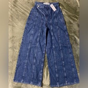 Hollister Social Tourist Seamed Ultra baggy Jean, Size 0 Short/24W